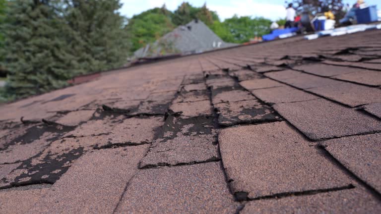 Best Storm Damage Roof Repair  in Gibsonville, NC