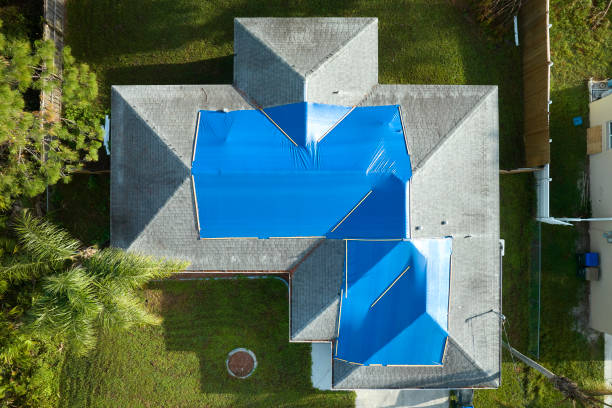 Best Asphalt Shingle Roofing  in Gibsonville, NC