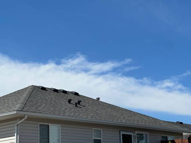 Best Gutter Installation and Repair  in Gibsonville, NC