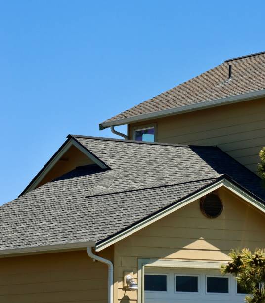 Best Roof Moss and Algae Removal  in Gibsonville, NC